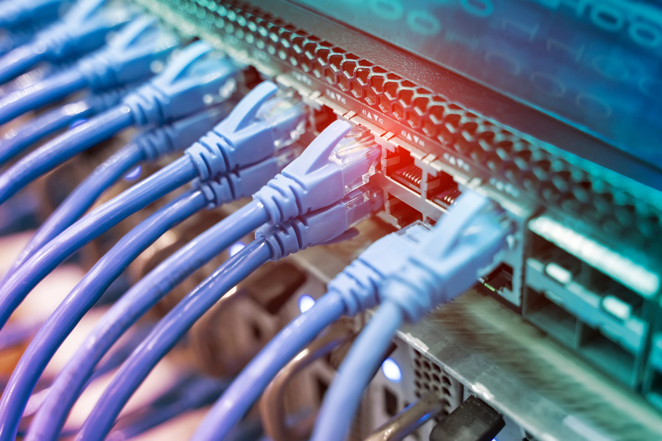 Networking Switch Setup